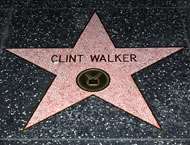 Walker received a star on the Hollywood Walk of Fame at 1505 Vine Street Walker received a star on the Hollywood Walk of Fame at 1505 Vine Street.